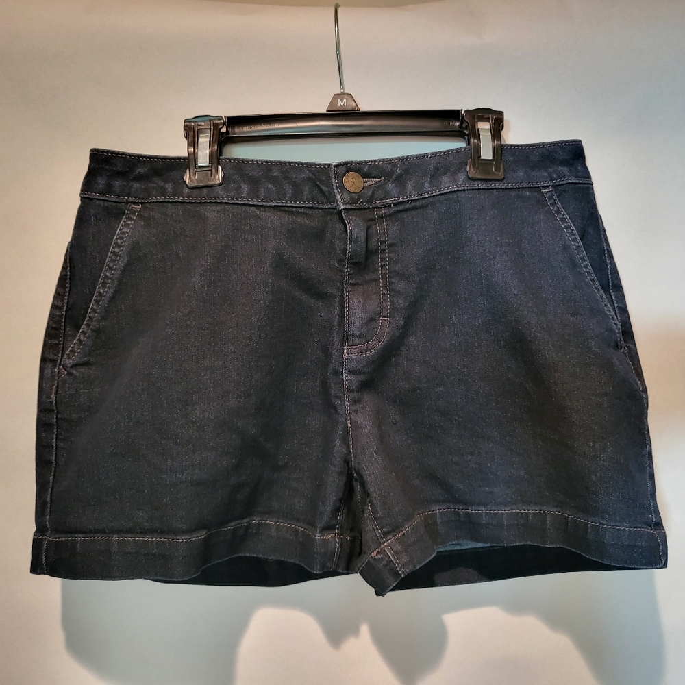 Jennifer Lopez Dark Denim Shorts